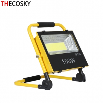 solar rechargeable LED flood lights